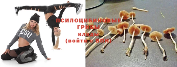 ALPHA PVP Ахтубинск