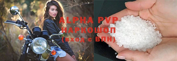 прущие грибы Баксан