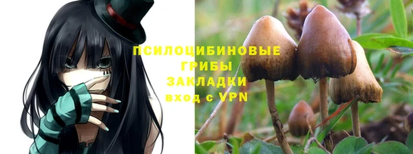 ПСИЛОЦИБИНОВЫЕ ГРИБЫ Беломорск