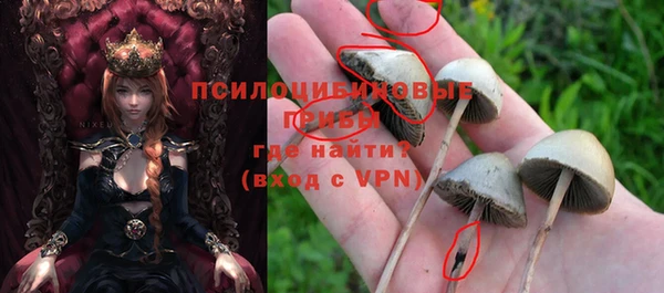 ПСИЛОЦИБИНОВЫЕ ГРИБЫ Беломорск
