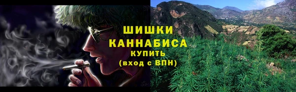 прущие грибы Баксан