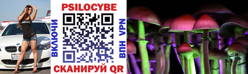 Псилоцибиновые грибы GOLDEN TEACHER  МЕГА tor  Рудня 