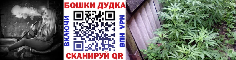 Бошки марихуана White Widow  Рудня 